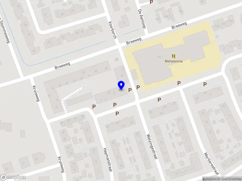 Stadsgids Geert Middelburg