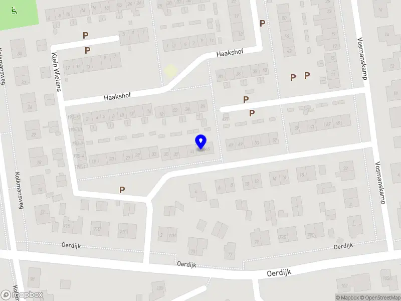 Eritrese vrouwen voor integratie