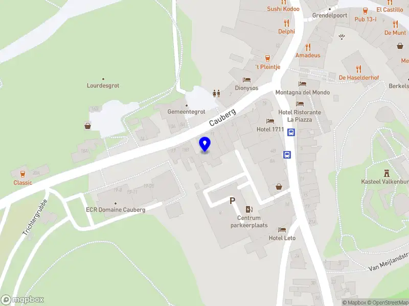 Nieuw bedrijf DzNLEU