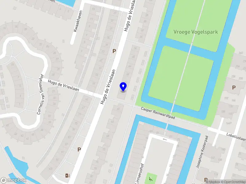 Nieuw bedrijf Aesthetics Gymwear