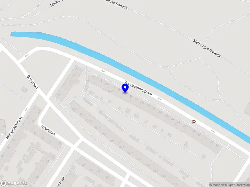 Nieuw bedrijf Purrty Pawesome Cat Sitter - Cat in a Flat