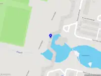 InSANely Clear Translations