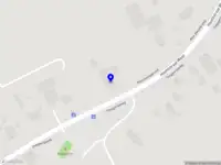 Stichting Hond in actie