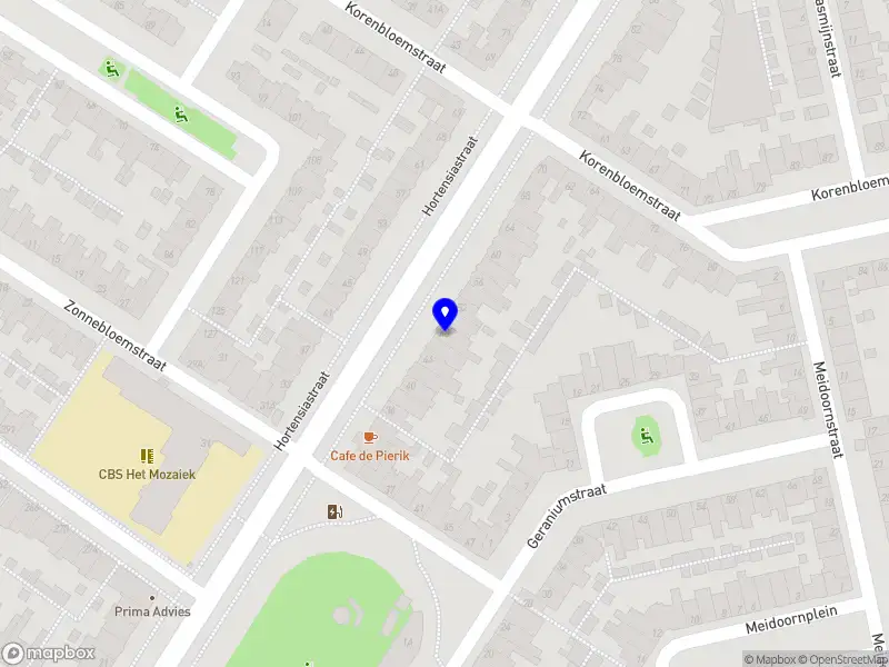 SchatEilander coaching