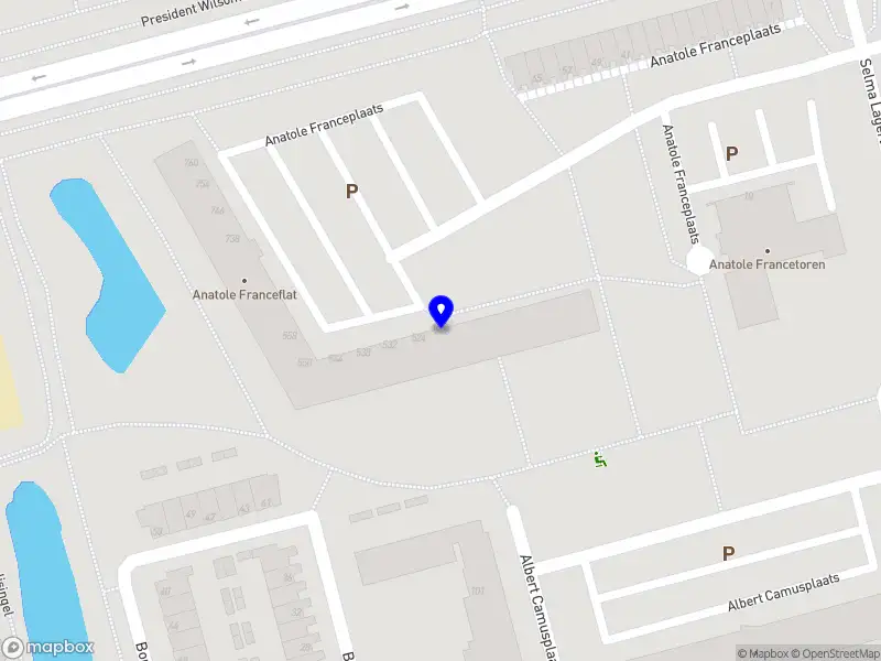 Nieuw bedrijf Soul Stars Coaching