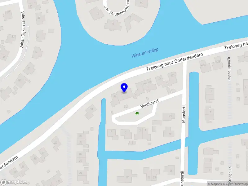 Magnolia's Groei & Inspiratie