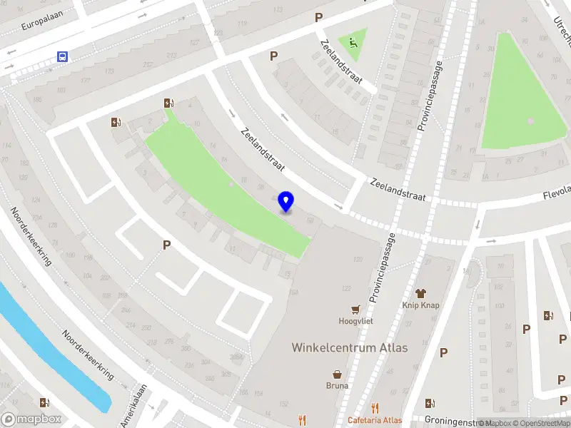 Rijn Basketbal Workshops