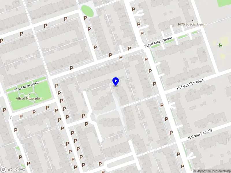 Michiel Hassink - Online Marketing