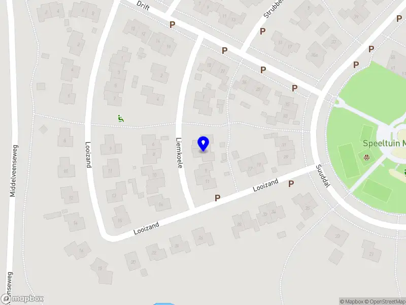 Professional Vision Hub