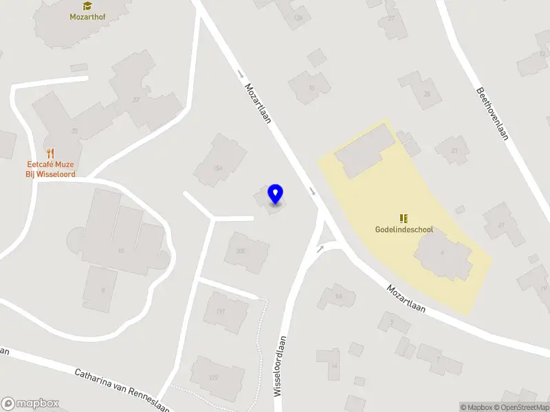 Alina Kaliievska Consultancy