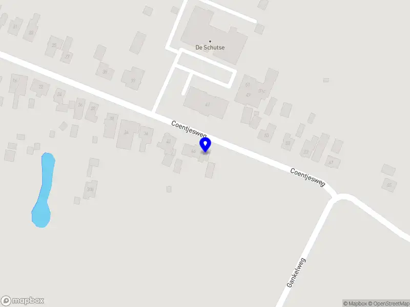 Connect & Grow Together