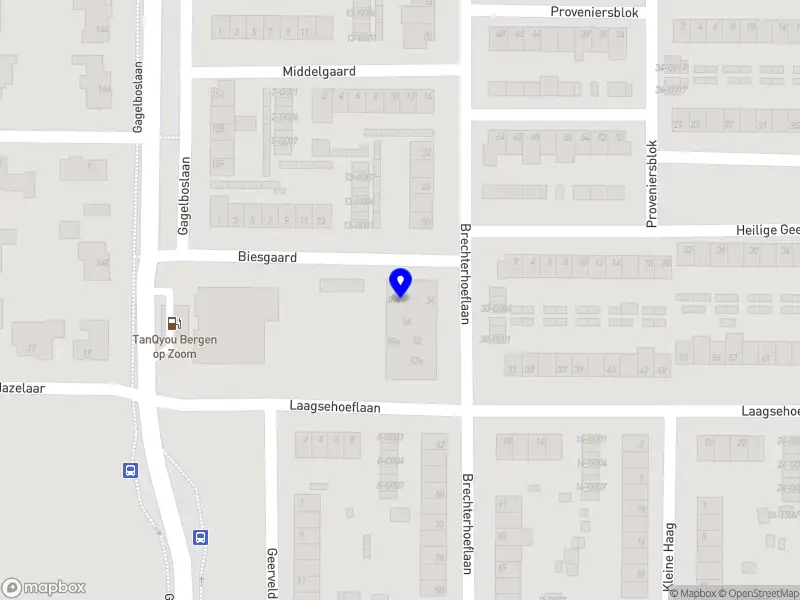 Sweetbronze by Amber Bergen op Zoom