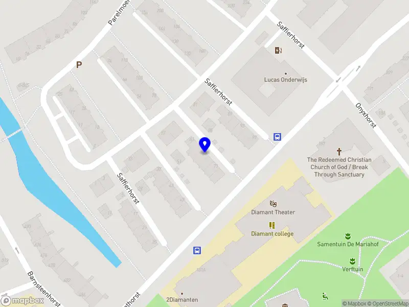 NEDGRA Docent Nederlands en didactiek