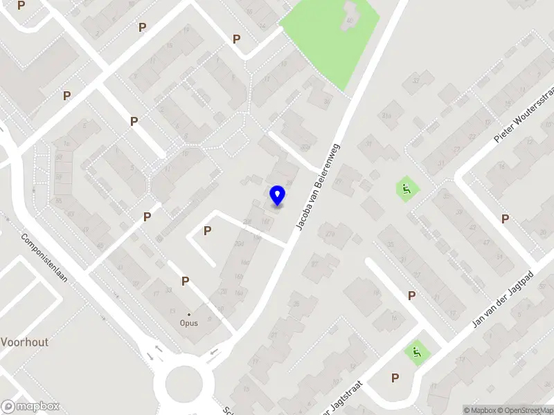 Yvonne van Rijn Fysiotherapeut