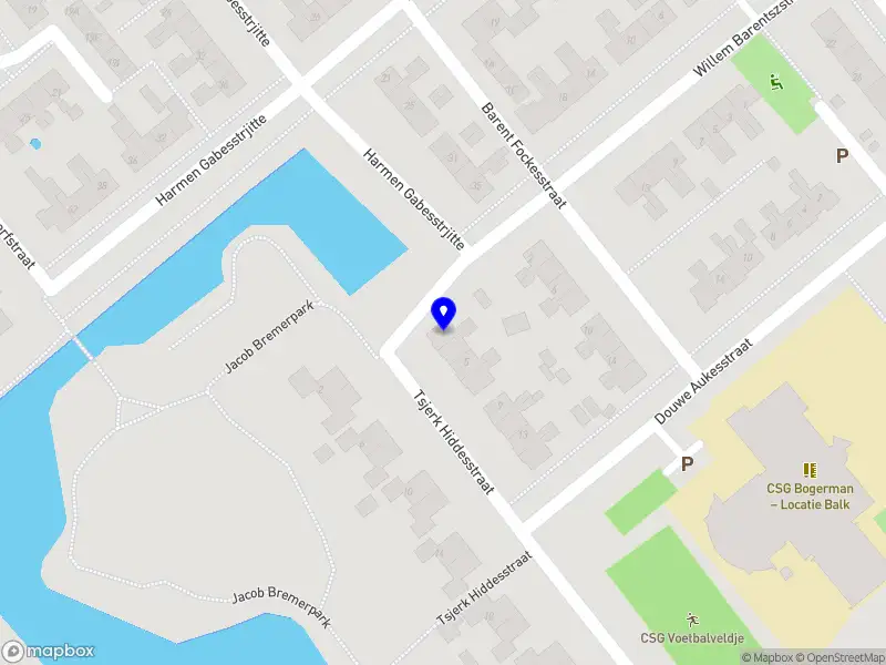 Forensisch orthopedagoog Sieteke