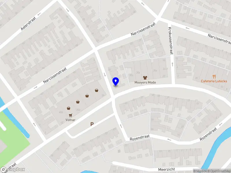 Riva virtueel assistent