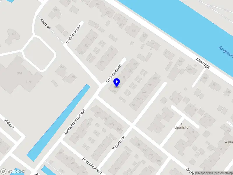 De Jong orthomoleculair therapeut