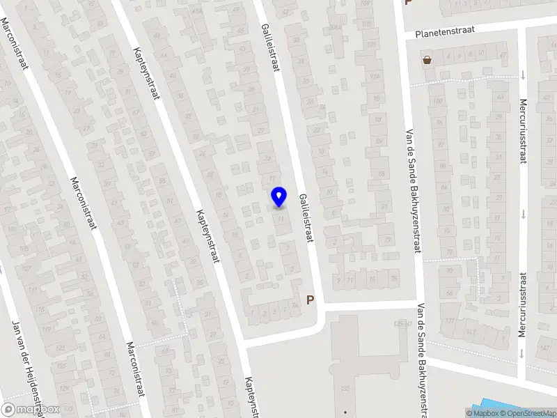 L.E.M. van den Elzen