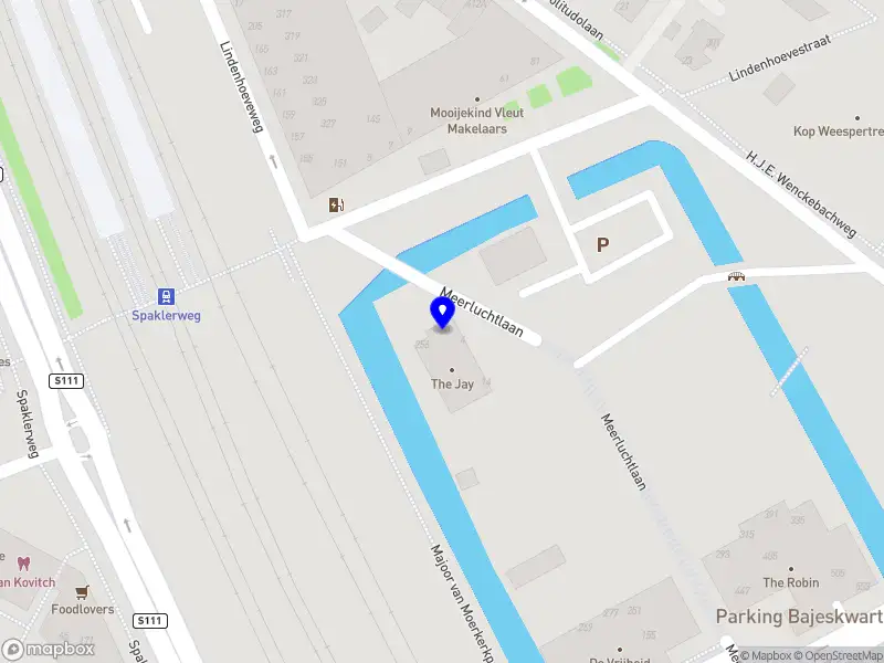 Amstel Coaching & Consultancy