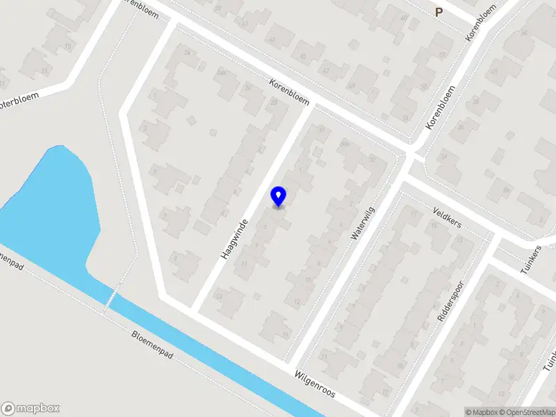 Dulcis Elephantus B.V.