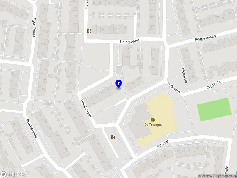 Vision on Wheels Z.Z.