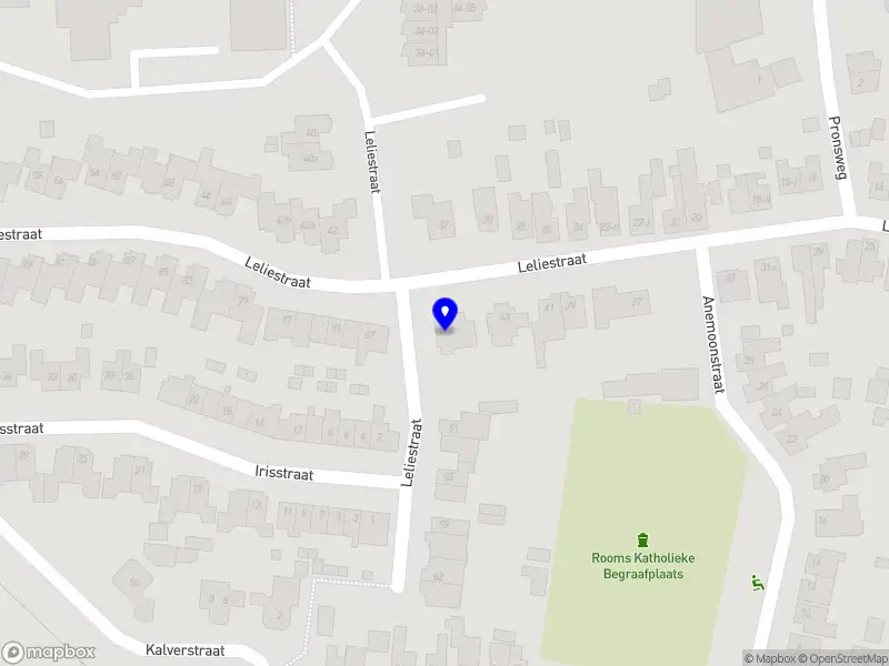 TS Management & Advies