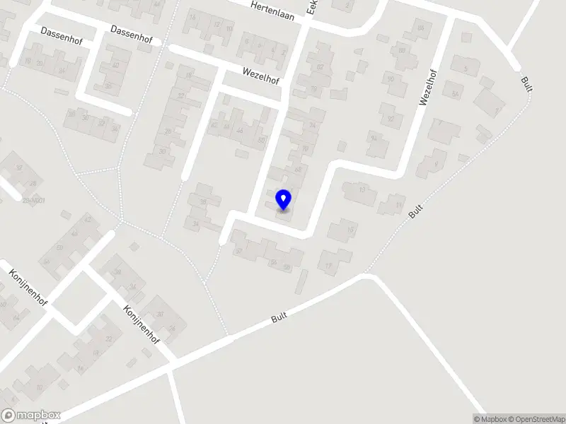 Visuals By Aleksandra