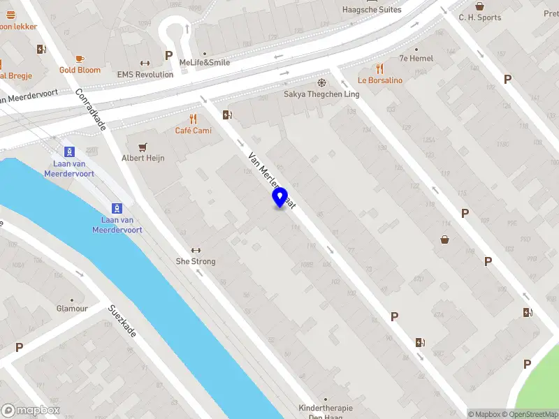 Andries Bogerd Musicus