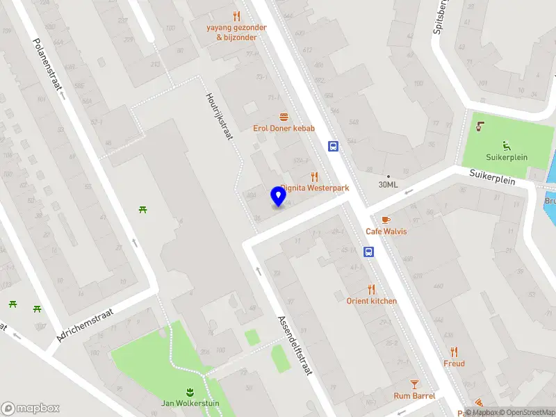 Emiel W. Steenhuizen