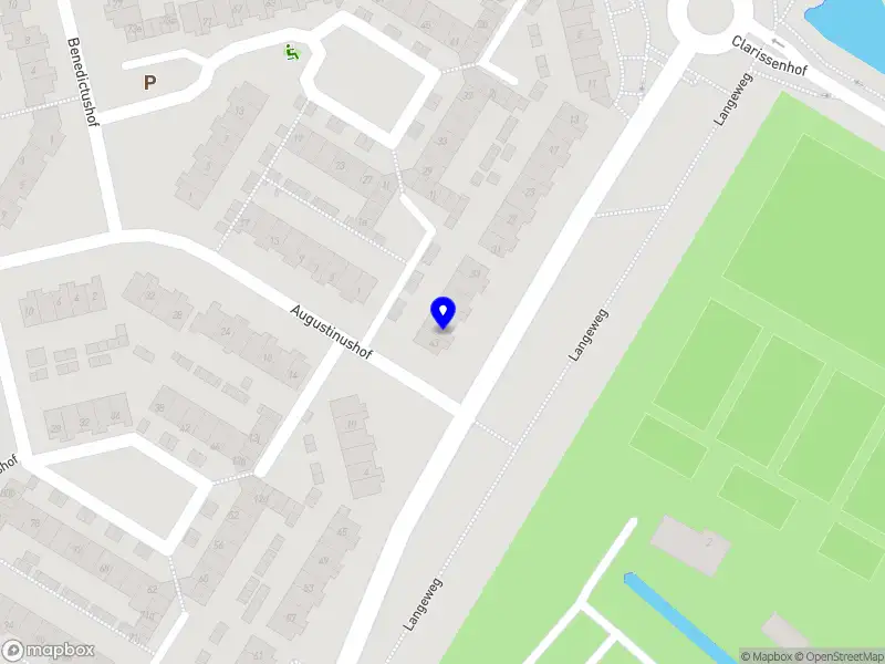 Natuurlijk Nabij lactatiekundige