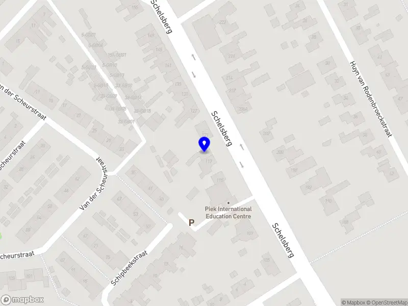 DM Marketing Visuals