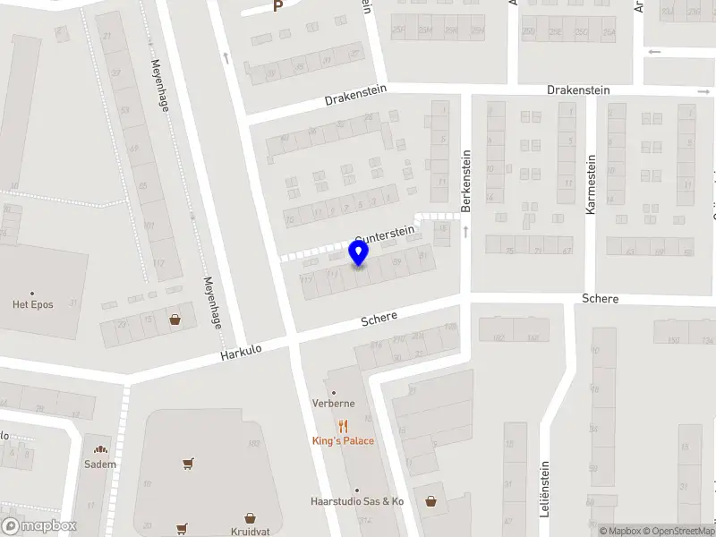 Mondhygiëniste S. Sagir B.V.