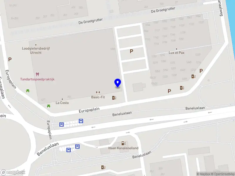 Aurora Creative Services & Activities