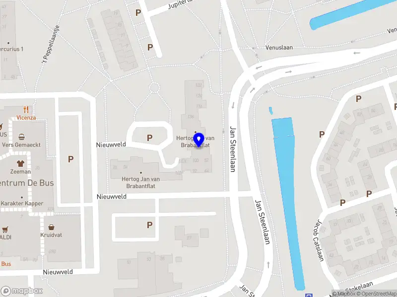 Bas Buur Development