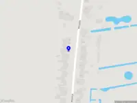 Treebeard Boomadvies en -verzorging