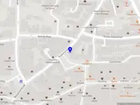 Roots & Rise Community