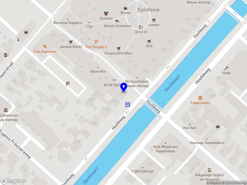 Chiropractic Care with Shameez