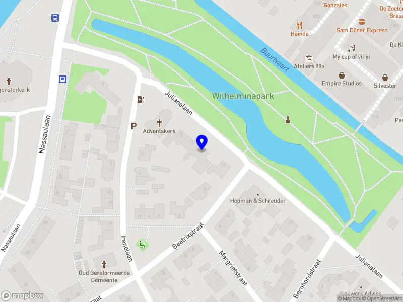 A.E. Borgman, huisarts