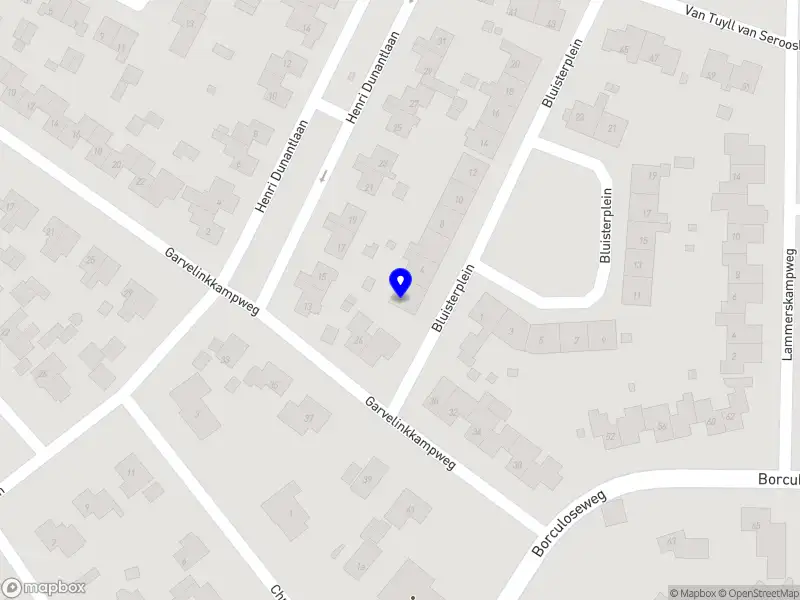 Reinderink Profwielrenner