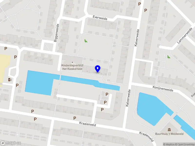 Corine Veen Fotografie