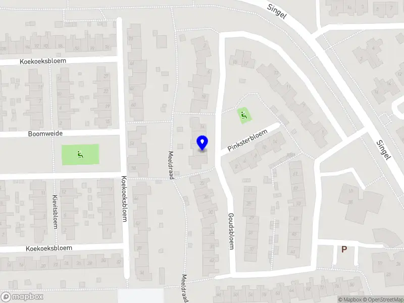 Bosboom Sporttherapie