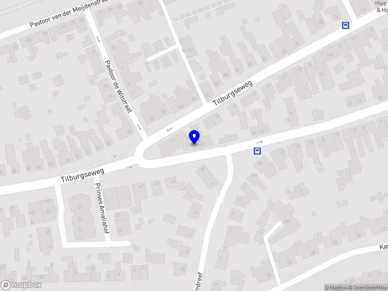 Henskens Trainingsacteur