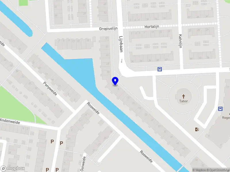 Linda Saumberga BerryFlow Movement