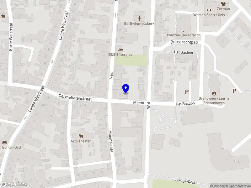 A.Z.Vegh Rietdekkersbedrijf