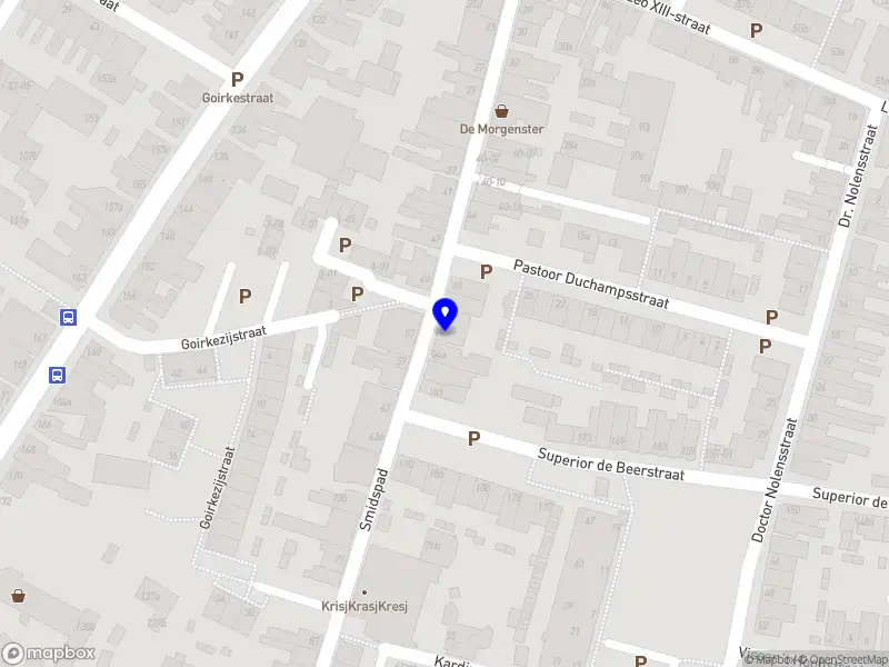 Traprenovatie-Duyshart