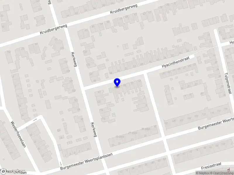 Odijk Legal Services B.V.