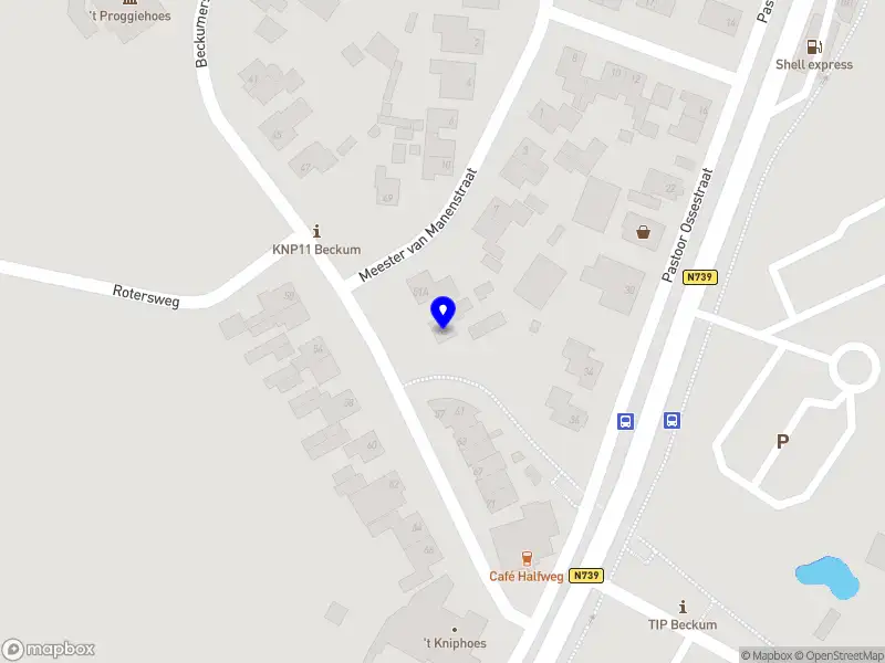 Nikee advies en styling