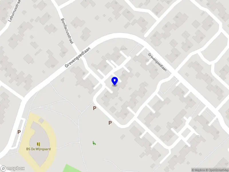 vanScheindelen Consultancy