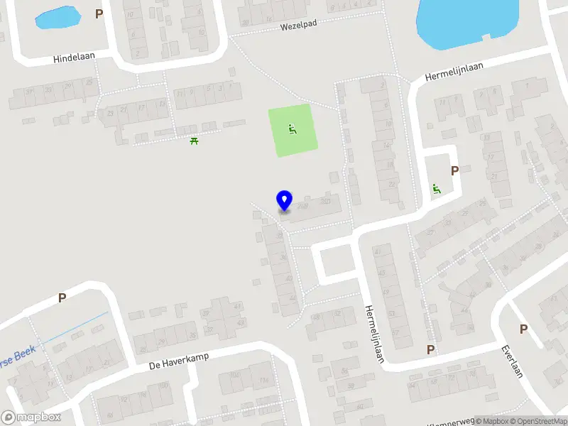 Wagteveld Begeleiding en Training