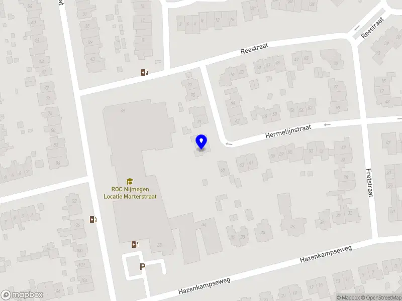 Nora Gerritsen - Embodied Movement & Therapy